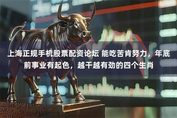 上海正规手机股票配资论坛 能吃苦肯努力，年底前事业有起色，越干越有劲的四个生肖