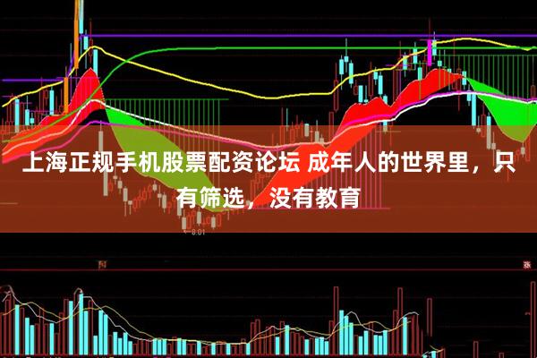 上海正规手机股票配资论坛 成年人的世界里，只有筛选，没有教育