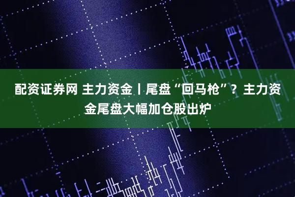配资证券网 主力资金丨尾盘“回马枪”？主力资金尾盘大幅加仓股出炉