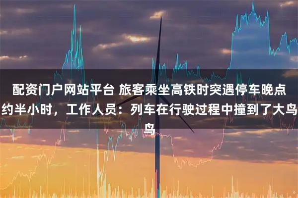 配资门户网站平台 旅客乘坐高铁时突遇停车晚点约半小时，工作人员：列车在行驶过程中撞到了大鸟