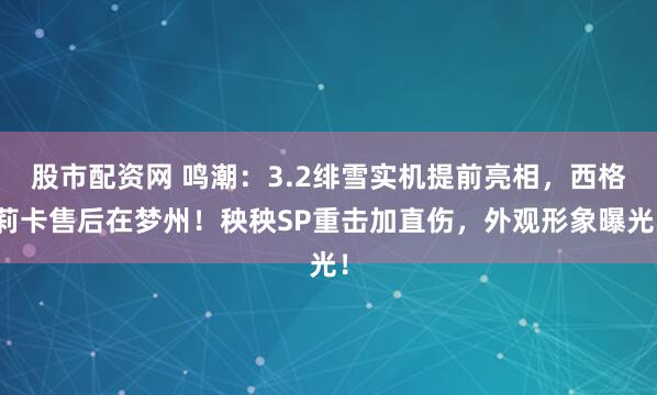 股市配资网 鸣潮：3.2绯雪实机提前亮相，西格莉卡售后在梦州！秧秧SP重击加直伤，外观形象曝光！