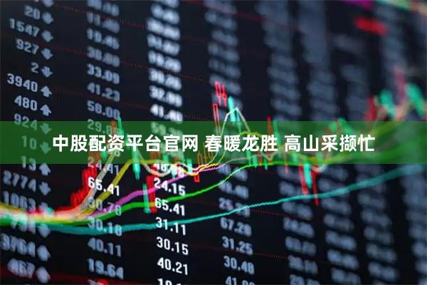中股配资平台官网 春暖龙胜 高山采撷忙